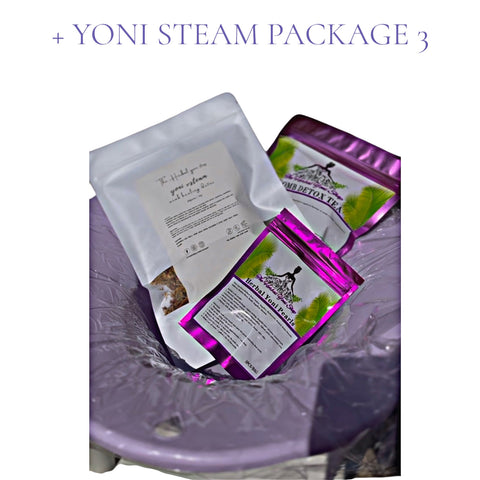 AT HOME STEAM KIT PACKAGE 3