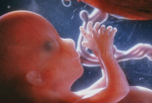 180 DAY FERTILITY (6 month detox )
